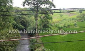 Majalengka, Palasah Foto Lokasi